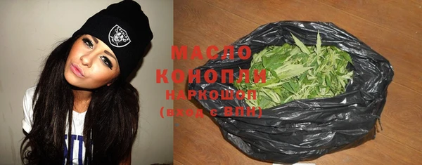 индика Киренск