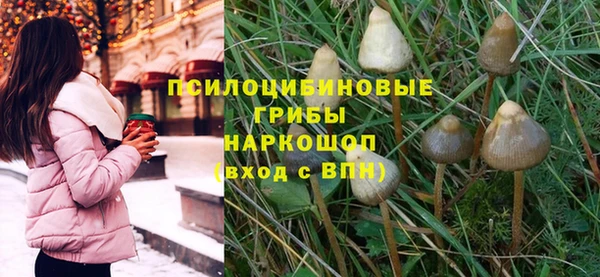 прущая мука Киреевск