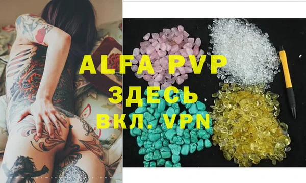 индика Киренск