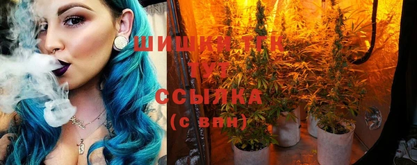 индика Киренск