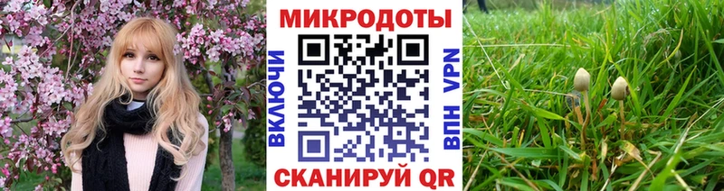 Купить где  Руза  Галлюциногенные грибы мицелий 